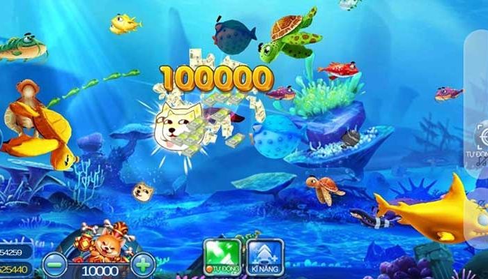 Chơi game bắn cá với chiến lược đúng đắn